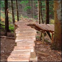 Haldon Freeride trail developments - Second Image